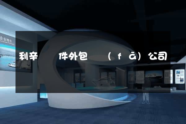 利辛縣軟件外包開發(fā)公司