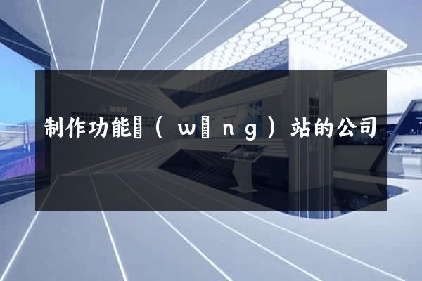 制作功能網(wǎng)站的公司