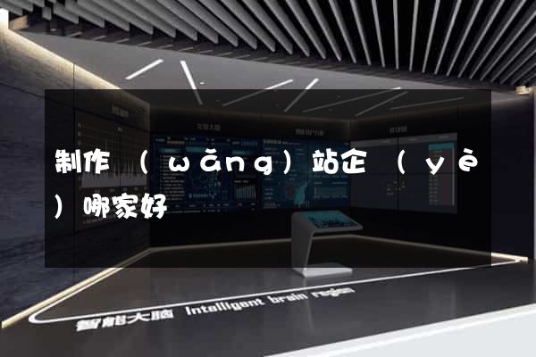 制作網(wǎng)站企業(yè)哪家好