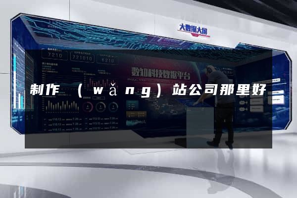 制作網(wǎng)站公司那里好