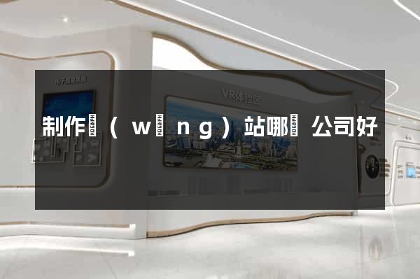 制作網(wǎng)站哪個公司好
