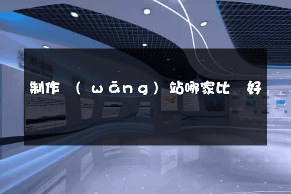 制作網(wǎng)站哪家比較好