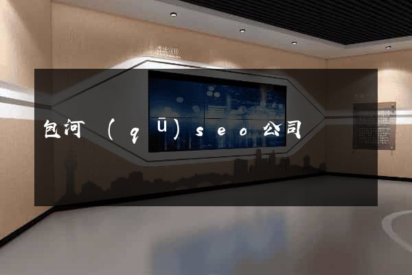 包河區(qū)seo公司