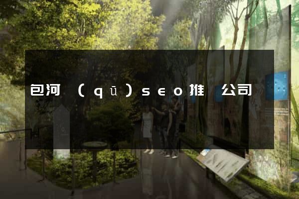 包河區(qū)seo推廣公司