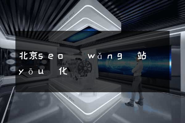 北京seo網(wǎng)站優(yōu)化