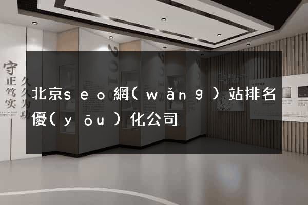 北京seo網(wǎng)站排名優(yōu)化公司