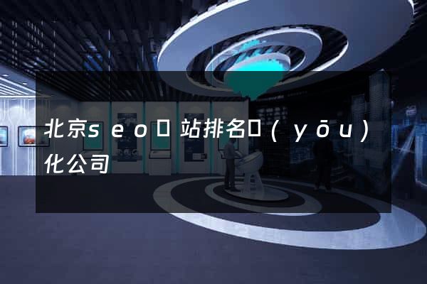 北京seo網站排名優(yōu)化公司