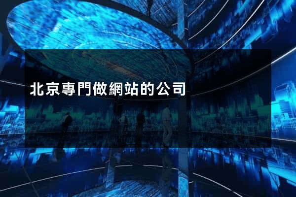 北京專門做網站的公司