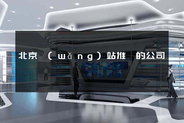 北京網(wǎng)站推廣的公司