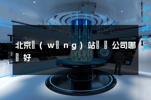北京網(wǎng)站設計公司哪個好