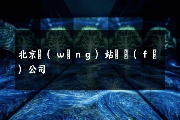 北京網(wǎng)站開發(fā)公司