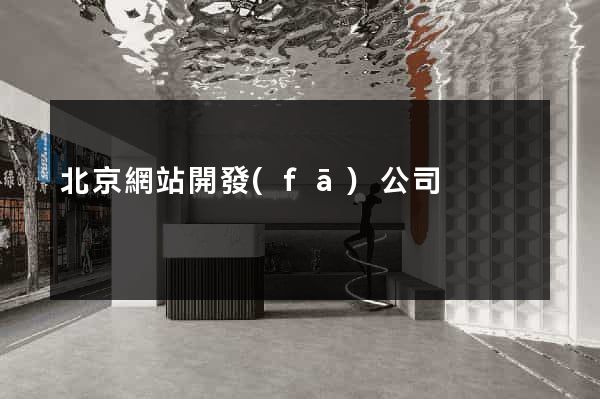 北京網站開發(fā)公司