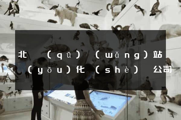北侖區(qū)網(wǎng)站優(yōu)化設(shè)計公司