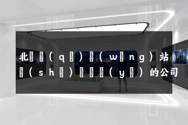 北侖區(qū)網(wǎng)站設(shè)計專業(yè)的公司