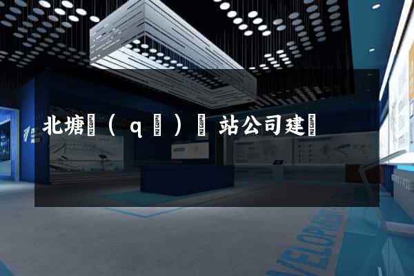 北塘區(qū)網站公司建設