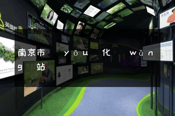 南京市優(yōu)化網(wǎng)站