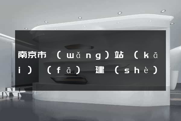 南京市網(wǎng)站開(kāi)發(fā)與建設(shè)