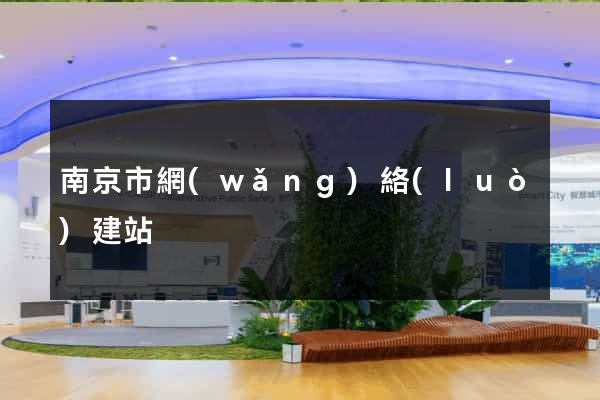南京市網(wǎng)絡(luò)建站