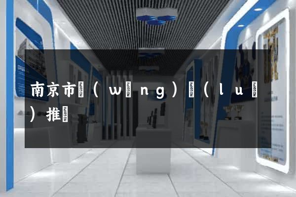南京市網(wǎng)絡(luò)推廣