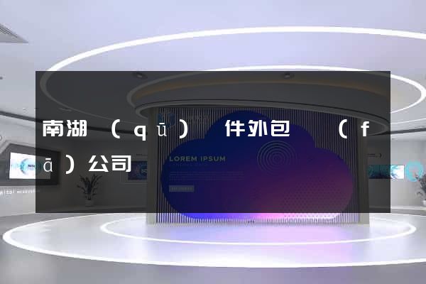 南湖區(qū)軟件外包開發(fā)公司