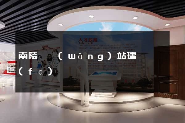 南陵縣網(wǎng)站建設開發(fā)