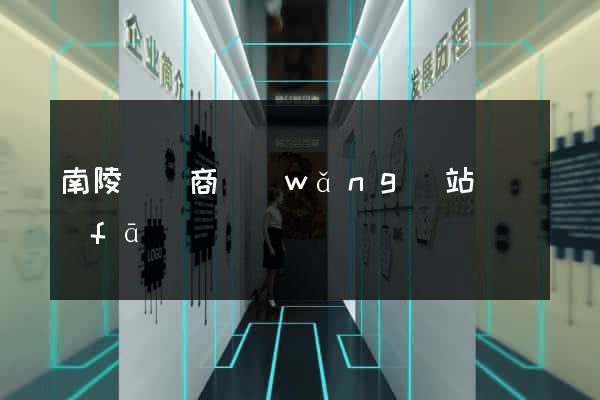 南陵縣電商網(wǎng)站開發(fā)