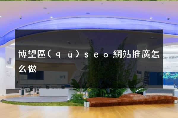 博望區(qū)seo網站推廣怎么做