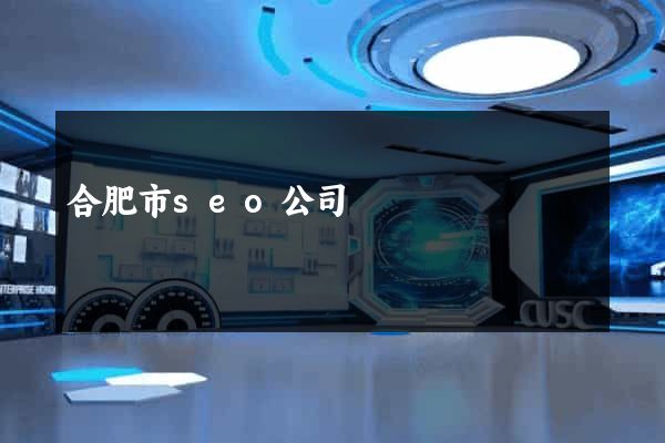 合肥市seo公司
