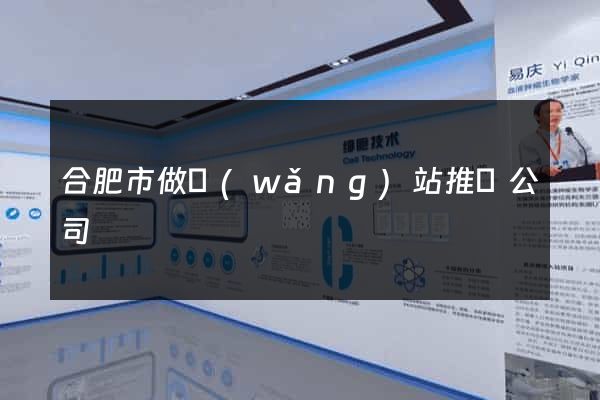 合肥市做網(wǎng)站推廣公司