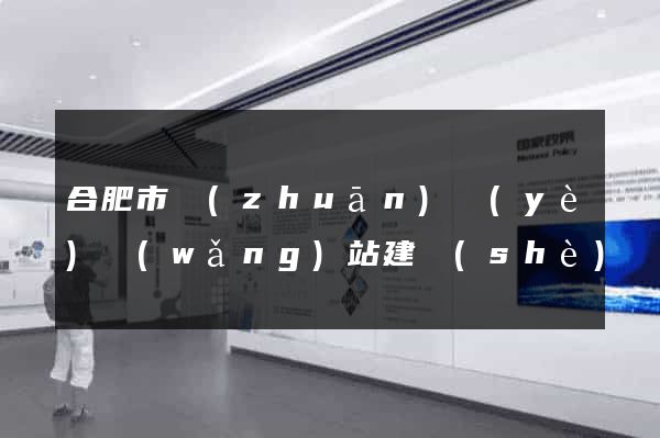 合肥市專(zhuān)業(yè)網(wǎng)站建設(shè)
