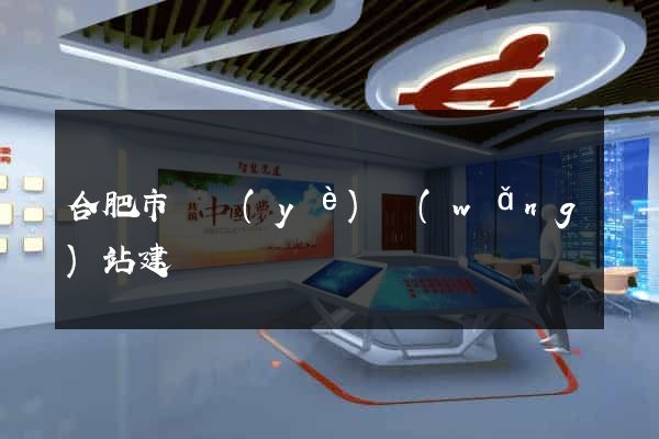 合肥市專業(yè)網(wǎng)站建設