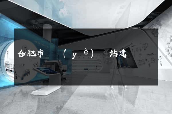 合肥市專業(yè)網站建設