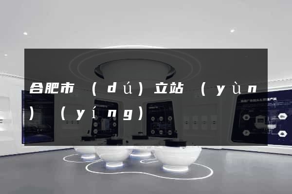 合肥市獨(dú)立站運(yùn)營(yíng)