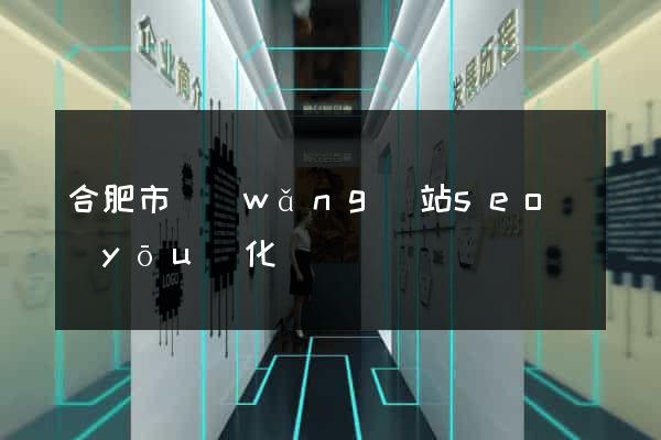 合肥市網(wǎng)站seo優(yōu)化