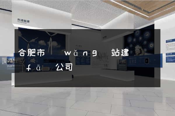 合肥市網(wǎng)站建設開發(fā)公司