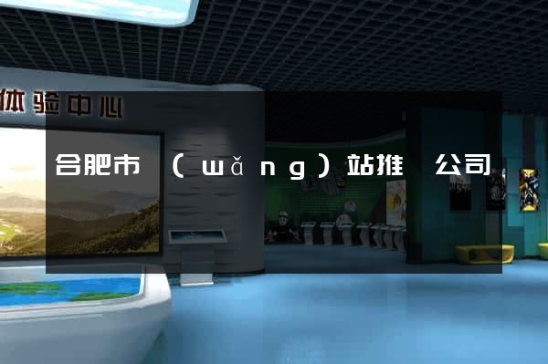 合肥市網(wǎng)站推廣公司