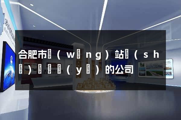 合肥市網(wǎng)站設(shè)計專業(yè)的公司