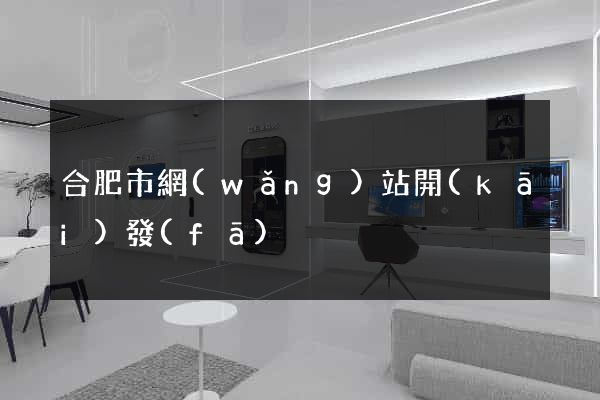 合肥市網(wǎng)站開(kāi)發(fā)