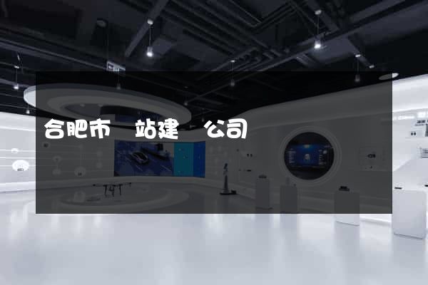 合肥市網站建設公司