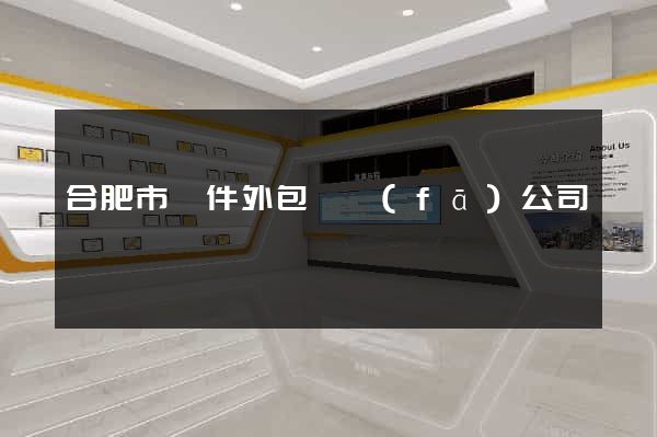 合肥市軟件外包開發(fā)公司