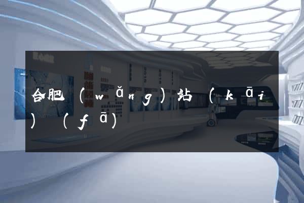 合肥網(wǎng)站開(kāi)發(fā)
