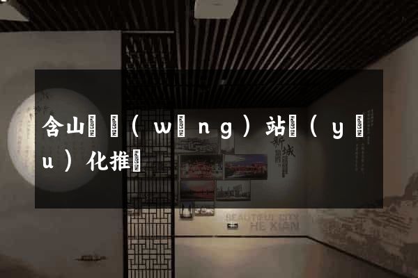 含山縣網(wǎng)站優(yōu)化推廣