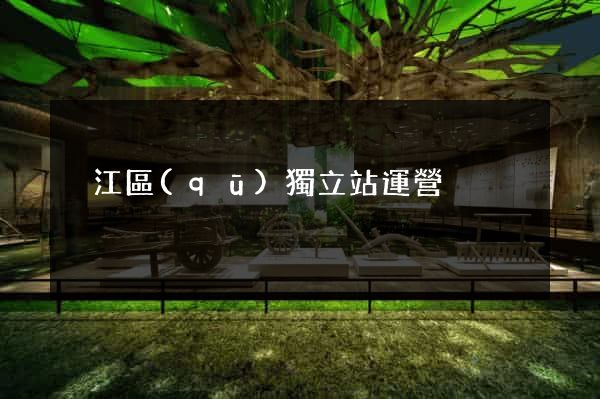 吳江區(qū)獨立站運營