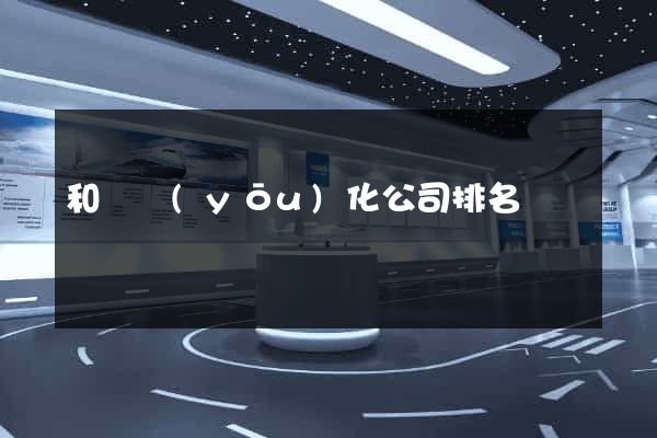 和縣優(yōu)化公司排名