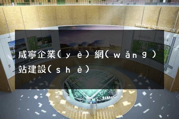 咸寧企業(yè)網(wǎng)站建設(shè)