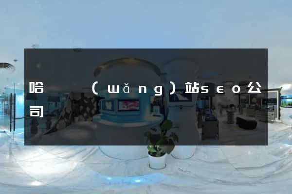 哈爾濱網(wǎng)站seo公司