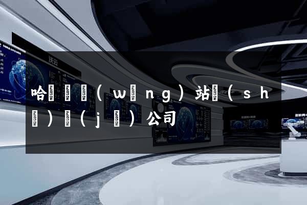 哈爾濱網(wǎng)站設(shè)計(jì)公司