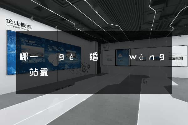 哪一個(gè)婚戀網(wǎng)站靠譜