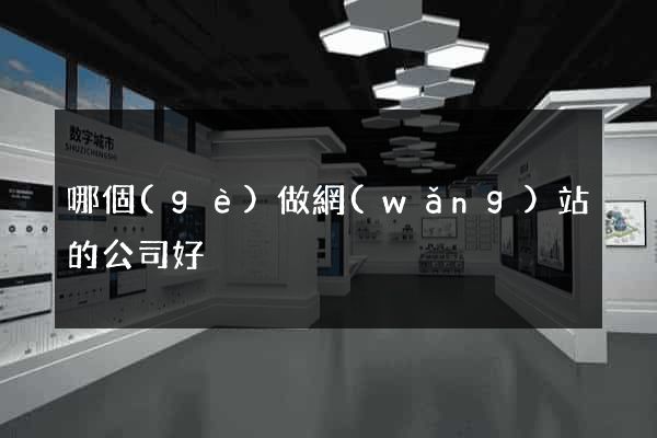 哪個(gè)做網(wǎng)站的公司好