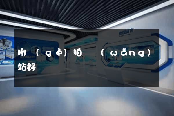 哪個(gè)拍賣網(wǎng)站好